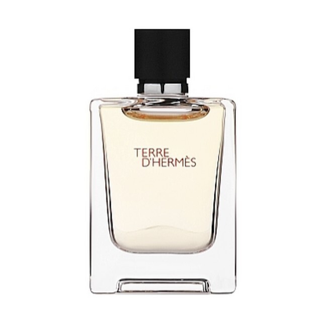 Hermes Terre Hermés Eau De Toilette Ml