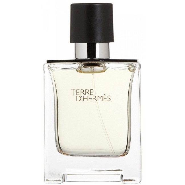 Hermes Terre Hermes Eau De Toilette 100 Ml