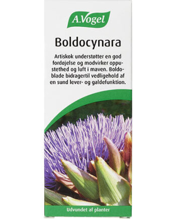 Vogel Boldocynara