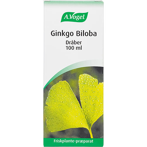 Vogel Ginkgo Biloba