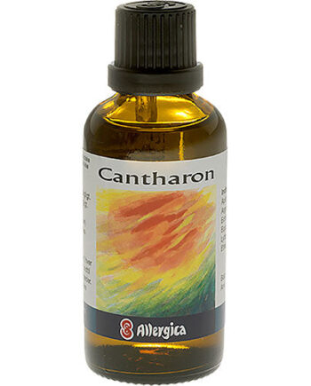 Allergica Cantharon