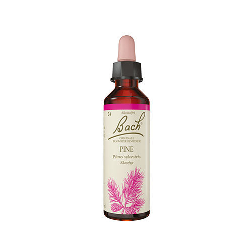Bach Originale Blomsterremedier Bach Skovfyr