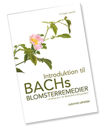 Bach Originale Blomsterremedier Introduktion Til Bach Blomster