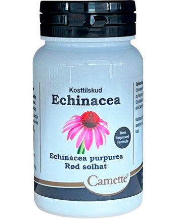 Camette Echinacea