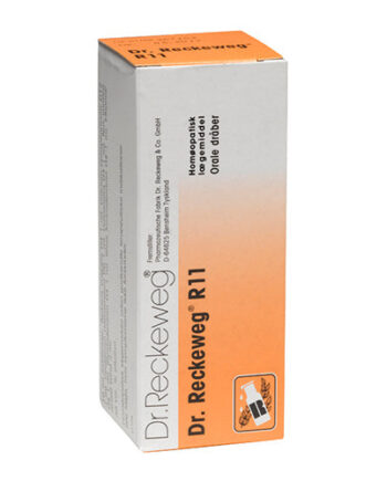 Dr  Reckeweg   11