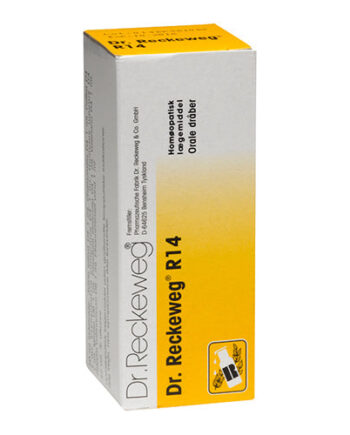 Dr  Reckeweg   14