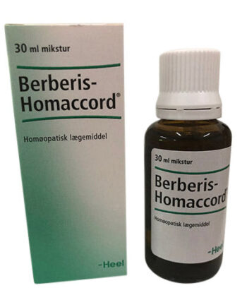 Heel Berberis Homaccord