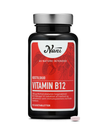 Nani Vitamin B12  90 Stk