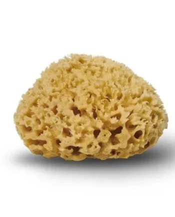 Cocoon Natursvamp Honeycomb 12 Cm    Stk