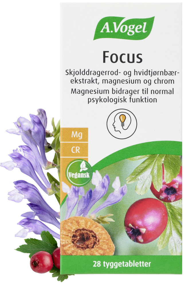 Vogel Focus 28 Tyggetabl