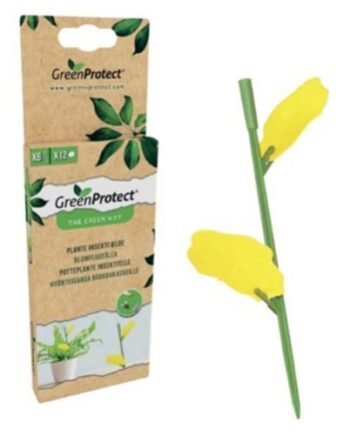 Green Protect Plante Insektfælde   Pk