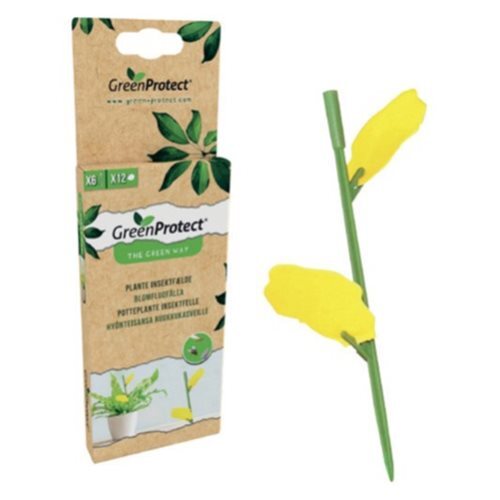 Green Protect Plante Insektfælde Pk