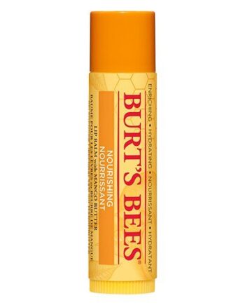 Lip Balm Mango Burt   Bees