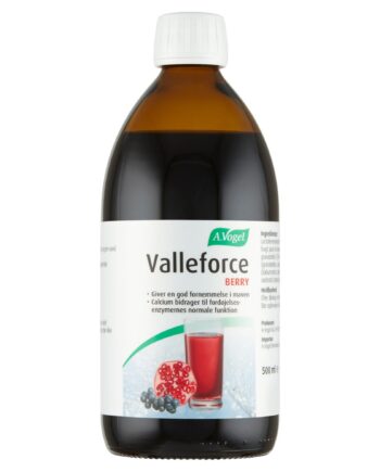 Valleforce Berry 500 Ml