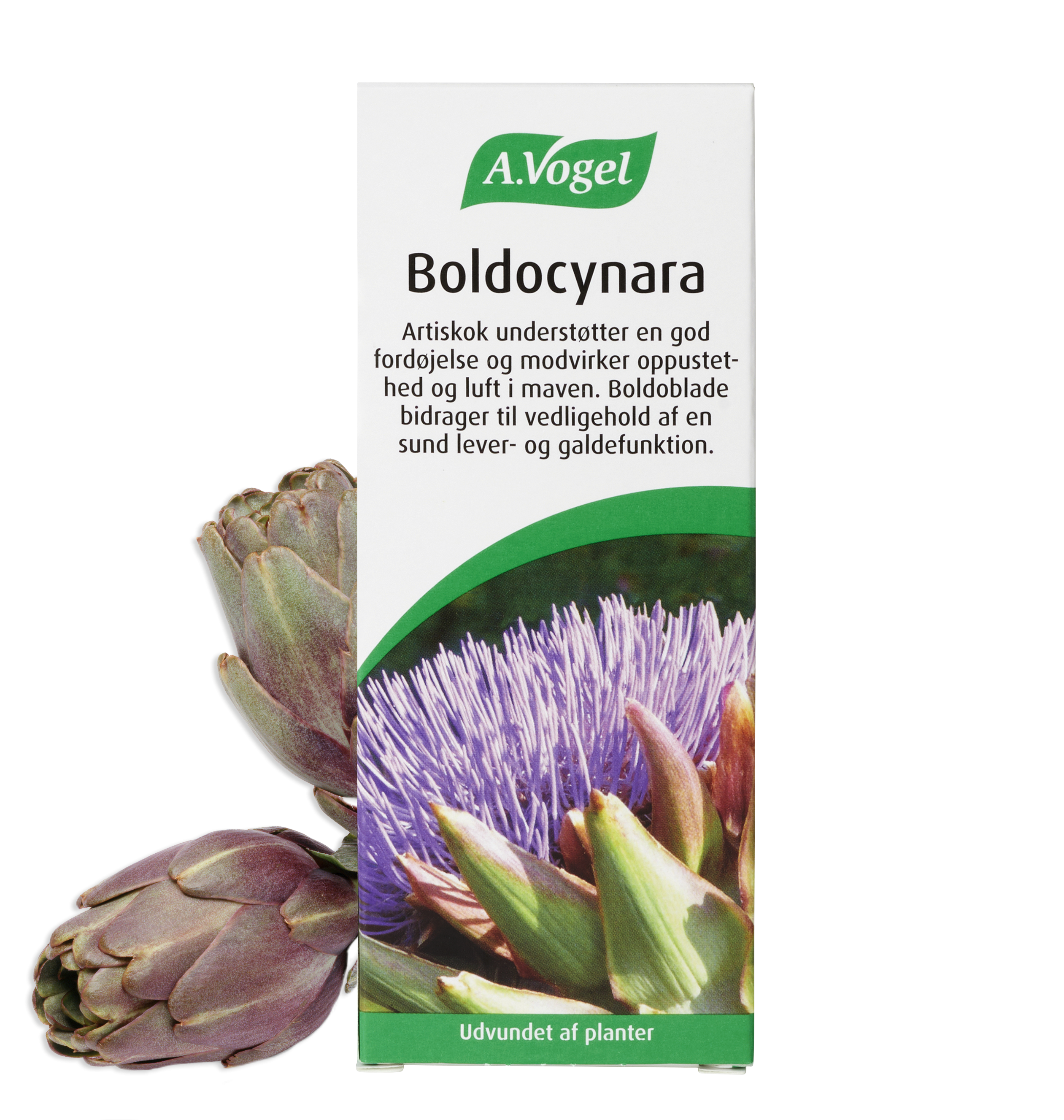 Vogel Boldocynara Dråber 100 Ml