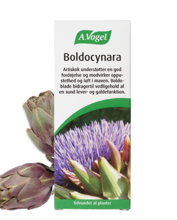 Vogel Boldocynara Dråber 50 Ml   Bedst Før 11 2025