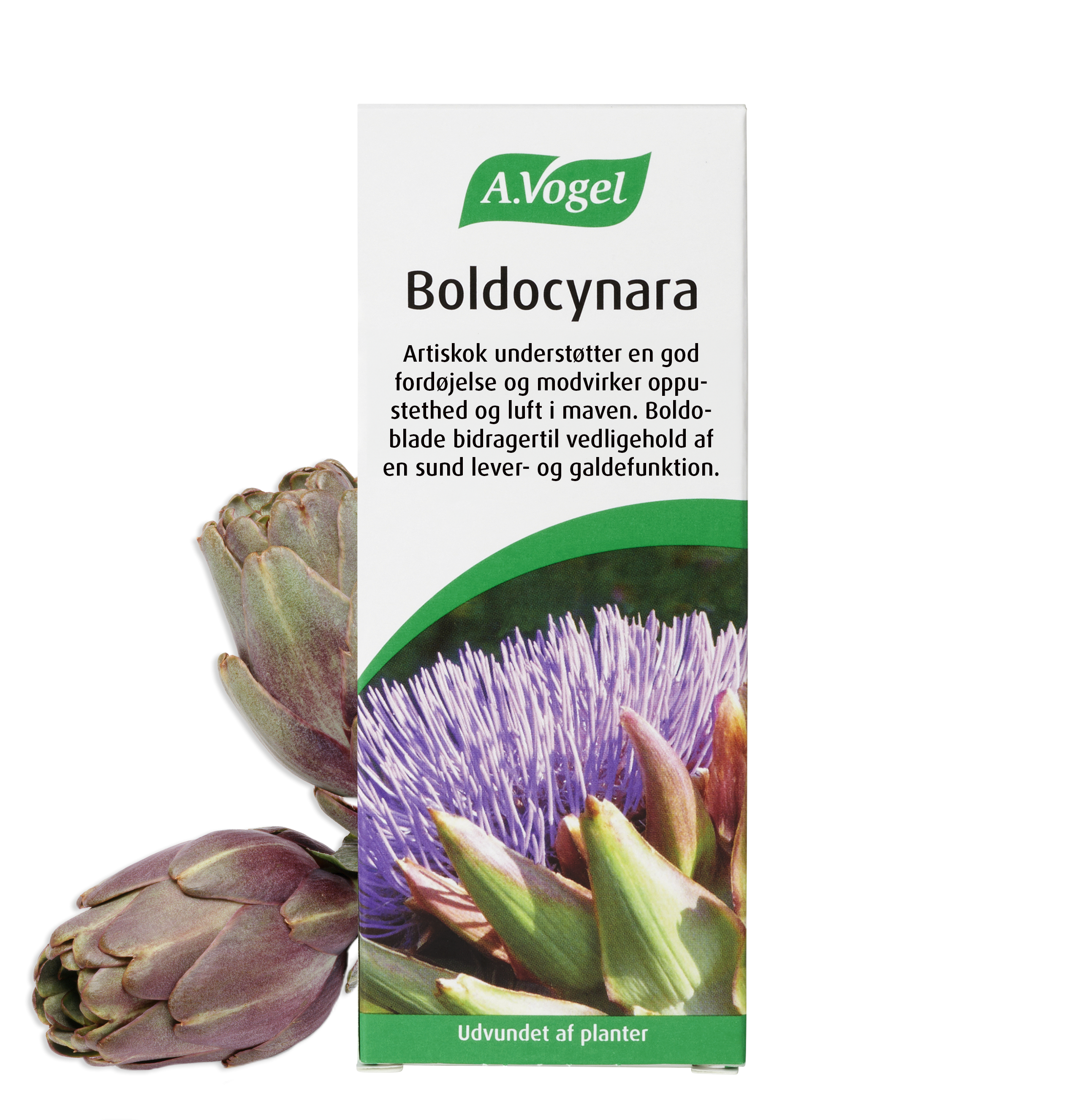 Vogel Boldocynara Dråber 50 Ml