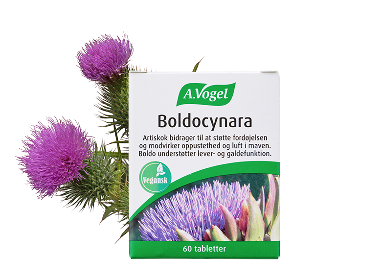 Vogel Boldocynara Tabletter 60 Tabl