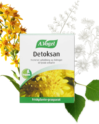 Vogel Detoksan 60 Tabletter