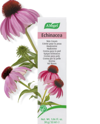 Vogel Echinacea Creme 30