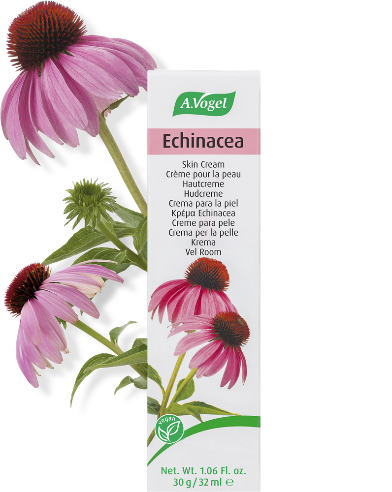 Vogel Echinacea Creme 32ml
