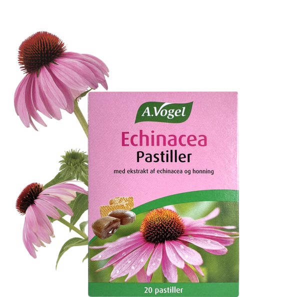 Vogel Echinacea Pastiller 42