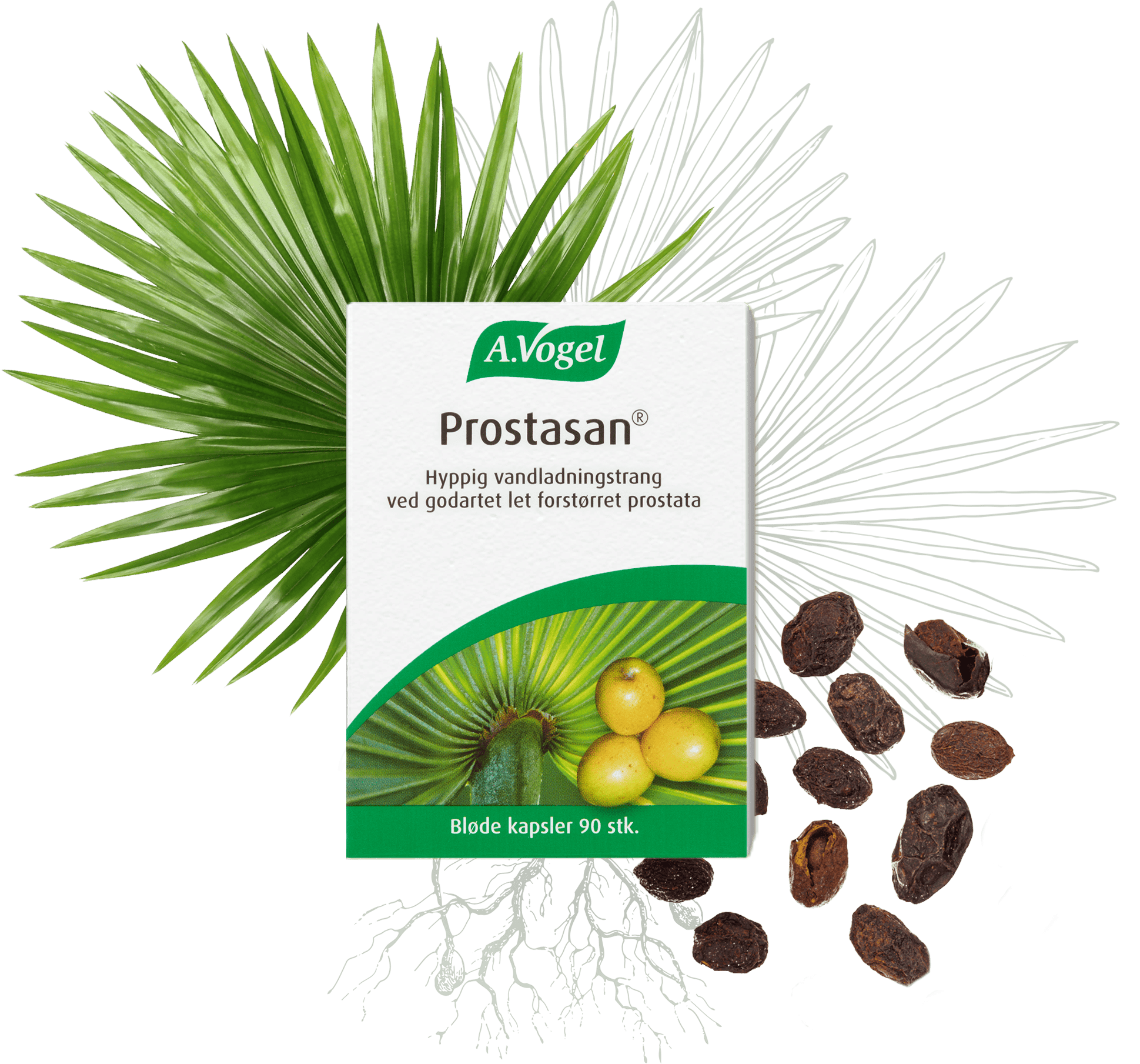 Vogel Prostasan 90 Kaps