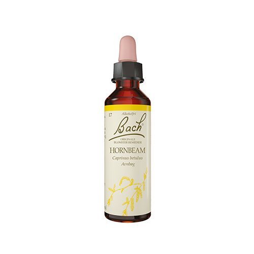 Bach Avnbøg 10ml