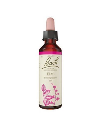 Bach Elm  10ml