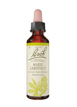 Bach Hestekastajne  10ml