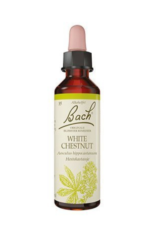 Bach Hestekastajne 10ml