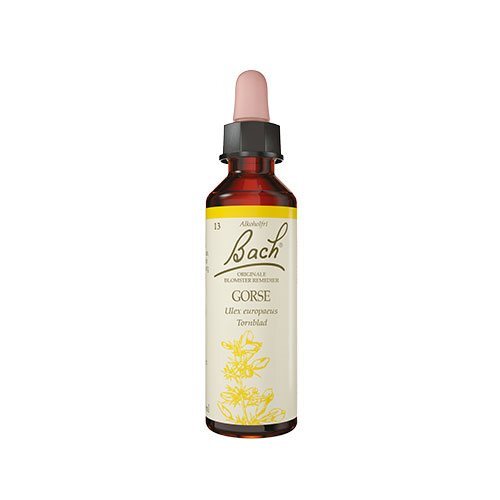 Bach Tornblad 10ml