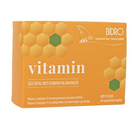 Bidro Vitamin 60 Veg  Kapsler   Hed Tidligere Vitamin Og Mineral