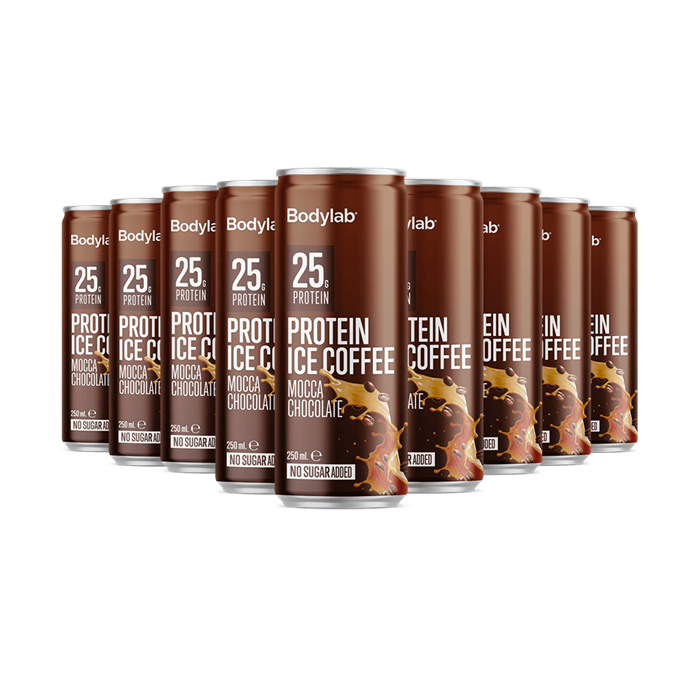 Bodylab Protein Ice Mocca Chocolate  1x250ml