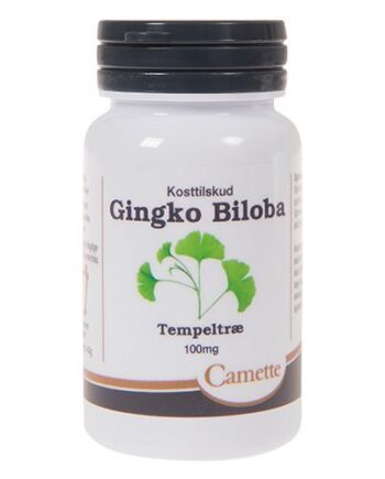 Camette Ginkgo Biloba 100 Mg 90 Tabletter