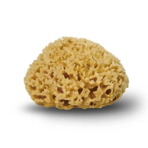 Cocoon Natursvamp Honeycomb 12 Cm    Stk