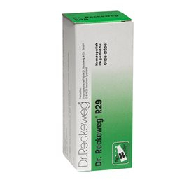 Dr  Reckeweg   29  Bull  50 Ml
