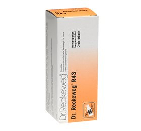 Dr  Reckeweg   43  Bull  50 Ml