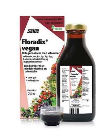 Floradix Vegan 250 Ml