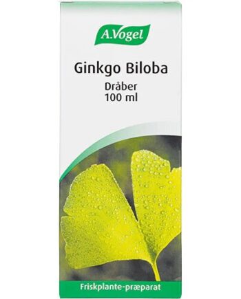 Ginkgo Biloba 100 Ml
