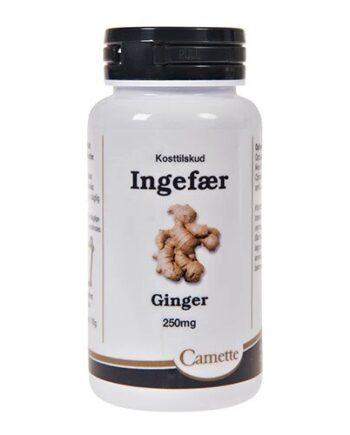 Ingefær 140 Tabletter