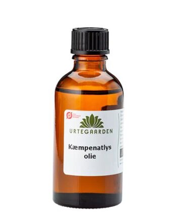 Kæmpenatlysolie øko  50 Ml
