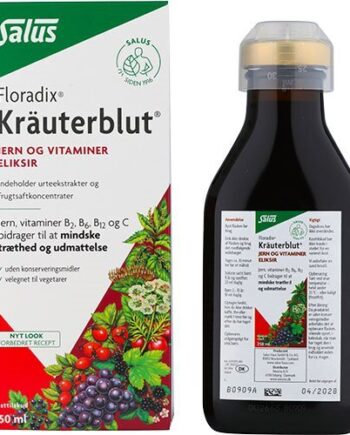 Kräuterblut Floradix 250 Ml