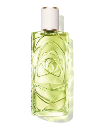 Lancôme Les   ôff Now Eau De Toilette 100 Ml