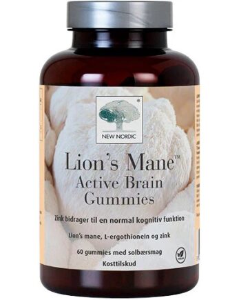 Lions Mane Active Brain Gummies 60 Gum