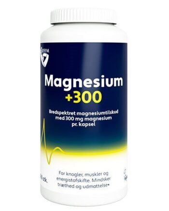Magnesium 300 160 Kapsler