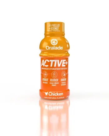 Oralade Active  Kylling 250 Ml