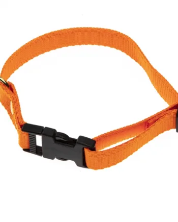 Orange Halsbånd Halsrem 25 Mm   60 Cm   Webbing