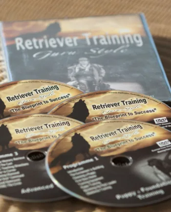 Retriever Træning Med Ketih Mathews    Stk Dvd