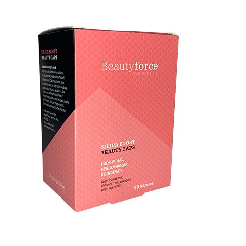 Silica Boost Beauty Force 90 Kaps